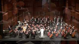 Adagio for Strings  Samuel Barber Theme from quotPlatoonquot [upl. by Aifos]