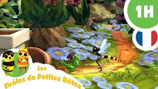 DRÔLES DE PETITES BÊTES  1 Heure  Compilation 02 [upl. by Hesky234]