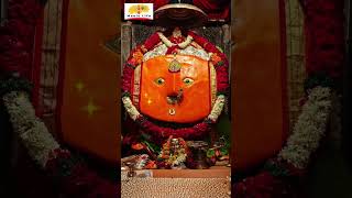 Yedamai Songs  Akash Shinde  Devi song shorts whatsappstatus whatsappstatusvideo yedeshwari [upl. by Mclaughlin51]