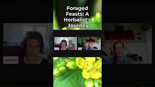 Foraged Feasts A Herbalists Journey podcast youtubeshorts journey foraging herbalism [upl. by Ylellan]