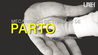 Mecanismos de trabajo de parto [upl. by Crescantia]