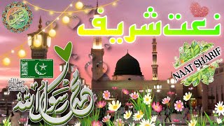 Naat Sharif  Idreesia Naat Sharif  Top Naats  Idreesia 381  Idreesia Naat  Urdu Naat  Multan [upl. by Dixon]