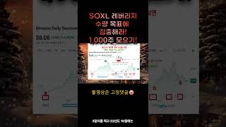 저점일 떄 매수 SOXL레버리지 1000주모으기 [upl. by Aelyk]