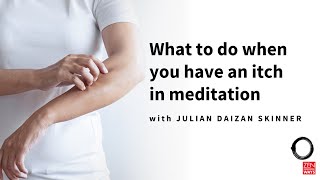 What to do when you have an itch in meditation  with Julian Daizan Skinner [upl. by Esinel369]