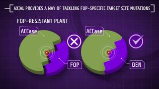 Explaining Herbicide Resistance Herbicide modes of action [upl. by Danella]