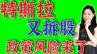 美股分析：特斯拉将再次拆股，但这次有所不同。 [upl. by Kopple]