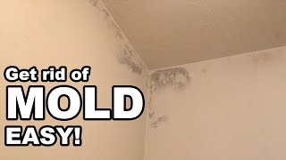 How to Get Rid of Mold in the Bathroom Easy [upl. by Ladnek667]