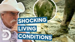 Most SHOCKING Homestead Living Conditions  Homestead Rescue [upl. by Bernadine485]