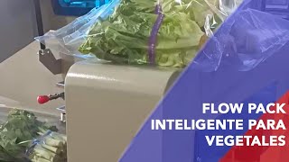 🥬Envasado flow pack inteligente de distintos largos para lechugas acelgas apio [upl. by Rainwater]