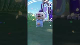 Shiny Oshawott Masuda Hunted In Pokemon Violet [upl. by Tomaso]