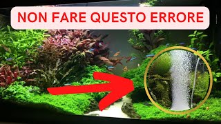 Aeratore in acquario Ecco perché NON dovresti utilizzare QUASI MAI un ossigenatore [upl. by Yerd]