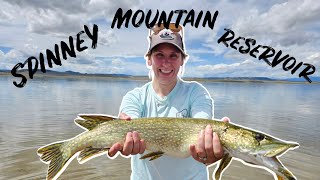 Spinney MOUNTAIN Reservoir Pike Fishing COLORADO [upl. by Aramanta142]