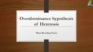 Overdominance Hypothesis of Heterosis [upl. by Janicki]