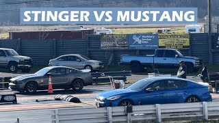 Kia Stinger GT vs Mustang GT Drag Race [upl. by Eikcin]