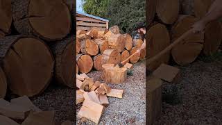 Splitting Big Logs shorts wood blacksmith [upl. by Moorish]