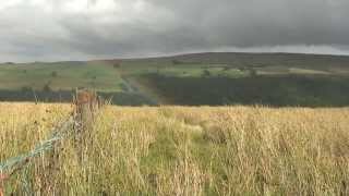 Hiking England Pennine Way  Part 16 Alston to Lambley [upl. by Tillion]