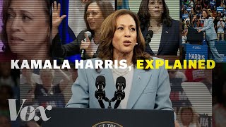 Kamala Harris explained in 7 moments [upl. by Aztiram]