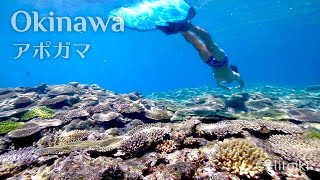 シュノーケリング＠沖縄アポガマ：Free Diving in Japans Snorkeling Spot Okinawa Mermaid Grotto Shark Coral [upl. by Wong713]