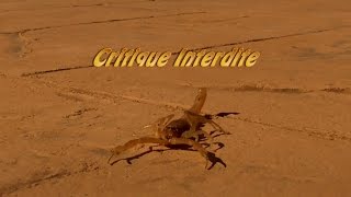 Critique interdite [upl. by Oneill]