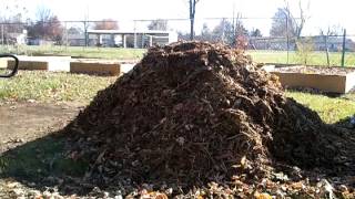 Raised Bed Garden What I learned About Wood Chips [upl. by Epner]