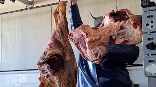 How To Cut Beef HindQuarters [upl. by Parthena]