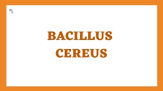 Bacillus cereus  Fried rice Syndrome or Food Poisoning Morphology Pathogenesis Lab Diagnosis [upl. by Conant291]