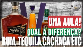 Qual a diferença entre o Whisky Rum Cachaça Gin Conhaque e Tequila [upl. by Venezia]