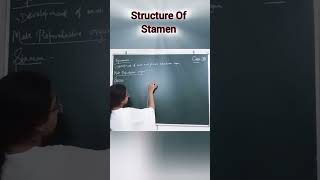 structure of stamen stame reproductioninplantfullchapter biologytextbook neet biologyclass [upl. by Addiel]