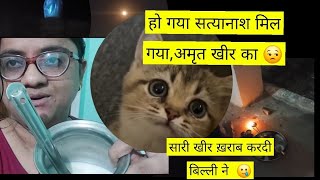 बिल्ली खीर जूठी कर गई🥲 Dimak kharabSharad Purnima Special vlog meghavlogs2549 vlog [upl. by Glaser]