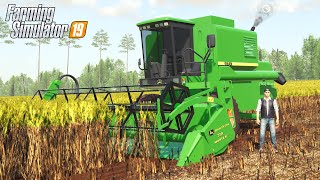 COLHENDO ARROZ DE JD 1175  Farming Simulator 2019  Fa Catarina [upl. by Kalila]