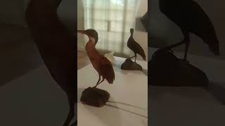 Visit our museum in manila trending museumcollectionviralvideo [upl. by Neeruam]