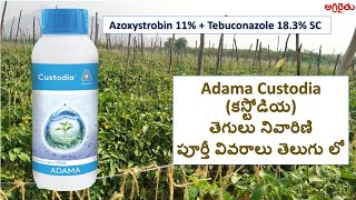 Adama Custodia అడామా కస్టోడియా Fungicide in Telugu  Software Engineer Farming [upl. by Derwin]