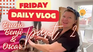 DAILY VLOG  dog grooming Cavalier Labradoodle shihtzu [upl. by Millur971]