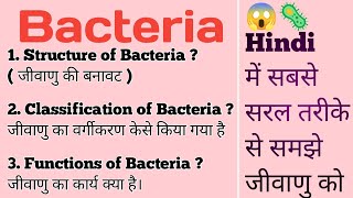 Bacteria Structure Classification Functions  हिंदी  जीवाणु का वर्गीकरण और कार्य हिंदी में [upl. by Donia]