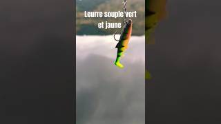 Leurre souple jaune et vert [upl. by Gowon]