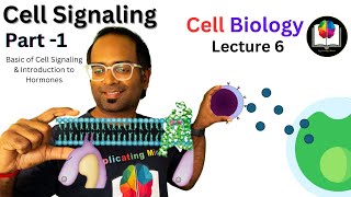 Cell Signaling and Hormone Introduction  Part 1  CSIR NET  DBT  GATE  ICMR NET [upl. by Newbold857]