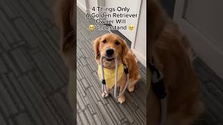 4 Things Only a Golden Retrievers Owner Will Understand [upl. by Eusebio849]