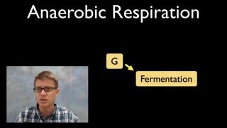 Anaerobic Respiration [upl. by Attenaz158]