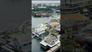 View from the Disney Springs Aerophile [upl. by Aonehc]