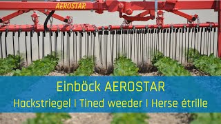 Hackstriegel  Tined weeder  Herse étrille EINBÖCK AEROSTARCLASSIC [upl. by Initirb]