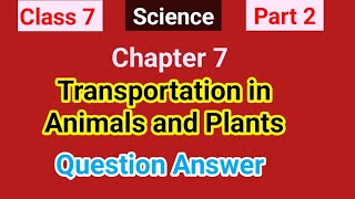 Class 7  Science  Part 2  Transportation in Animals and Plants QuestionandAnswer [upl. by Topper]