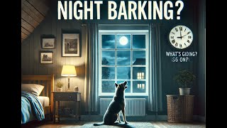 Why Is My Dog Suddenly Barking At Night [upl. by Haiasi]