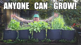 5 Easiest Crops For Beginner Gardeners [upl. by Landers]