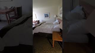 hotel room Wingate by Wyndham Edmonton canada summer edmonton wingate hoteltour [upl. by Mcquillin]