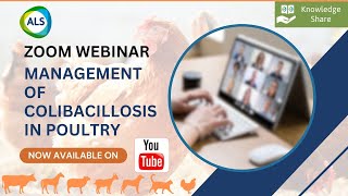 Webinar on quotManagement of COLIBACILLOSIS in Poultryquot [upl. by Ydoj]