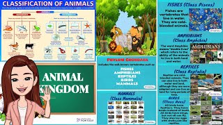 Distinguishing Characteristics of Vertebrates [upl. by Florry]