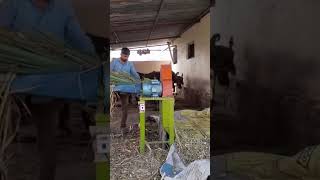 Chaff Cutter  Kutti Machine for Dairy in my Village chaffcutter kuttimachine village shorts [upl. by Hanimay]