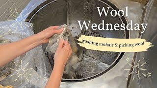 Wool Processing Wednesday washing mohair and picking fine wool [upl. by Ravo]