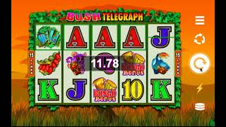 🌍 Bush Telegraph Slot by Microgaming – Adventure Awaits 🎰🌿 CasinoSlotsMoney [upl. by Yelrebma427]