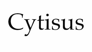 How to Pronounce Cytisus [upl. by Yttap]